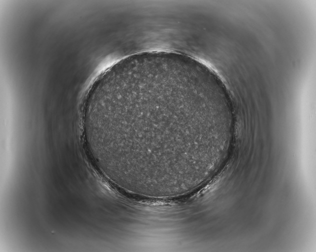 X0000087041359200705021128