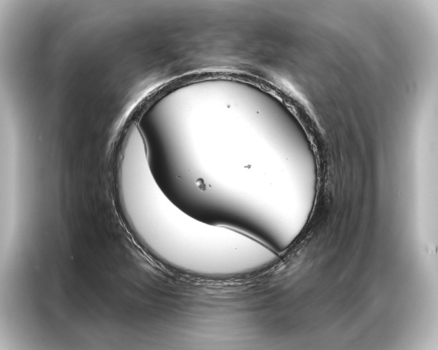 X0000087041360200705021128