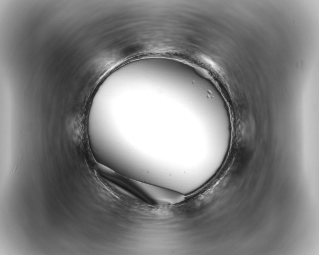 X0000087041361200705021128