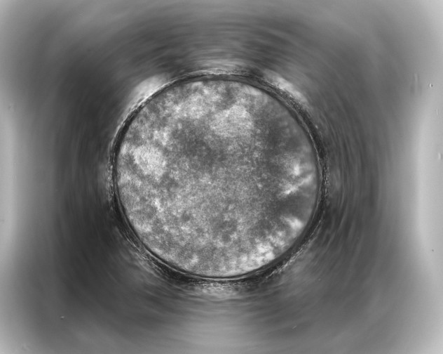X0000087041362200705021128