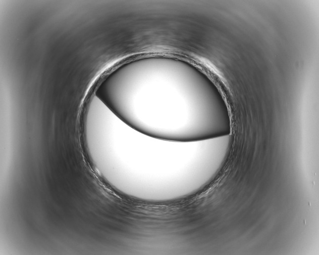 X0000087041364200705021128