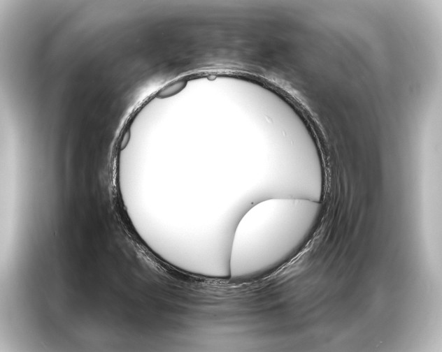 X0000087041366200705021128