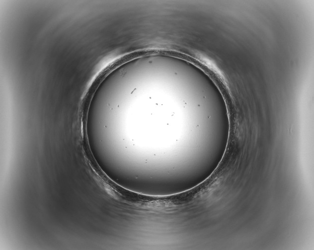 X0000087041368200705021128