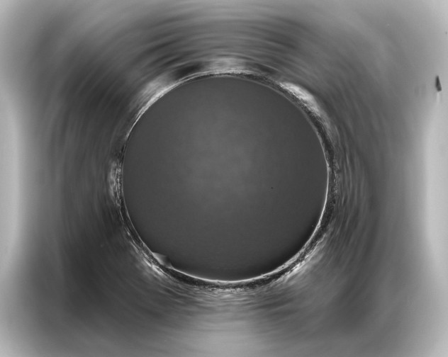 X0000087041369200705021128