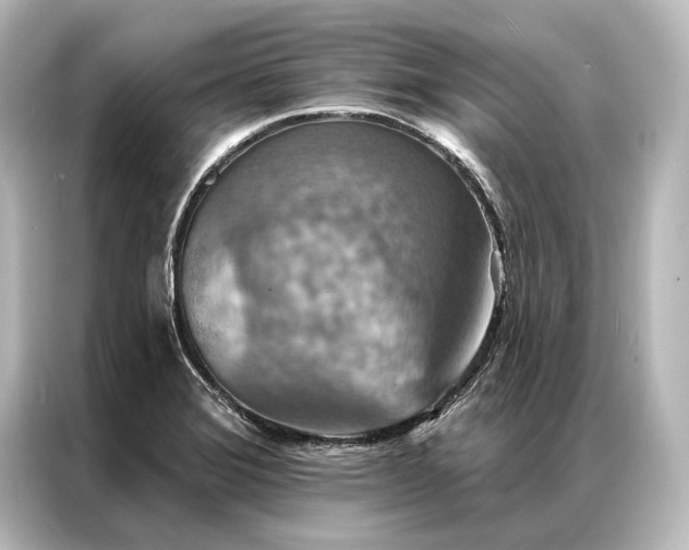 X0000087041372200705021128
