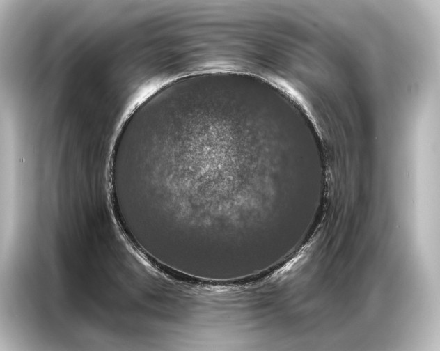 X0000087041373200705021128