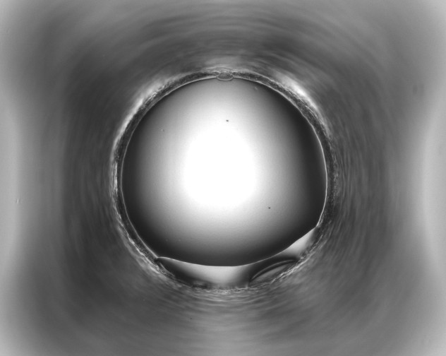 X0000087041376200705021128