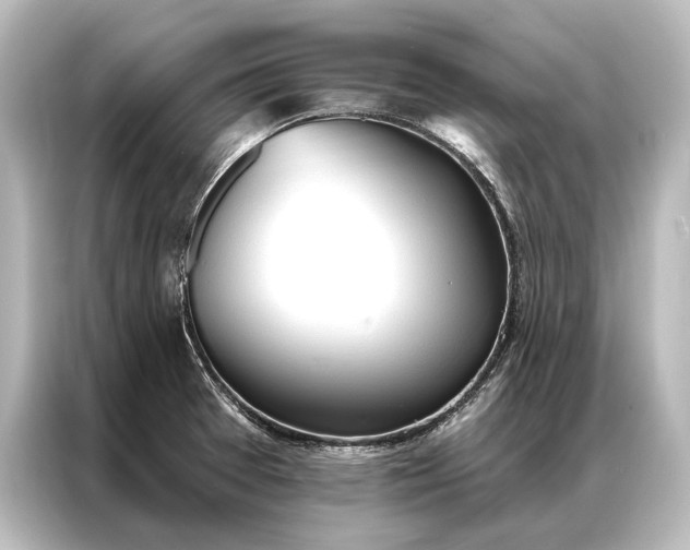 X0000087041377200705021128