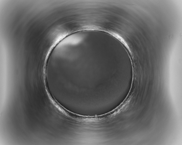 X0000087041381200705021128