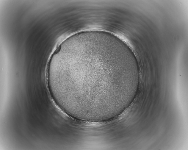 X0000087041382200705021128