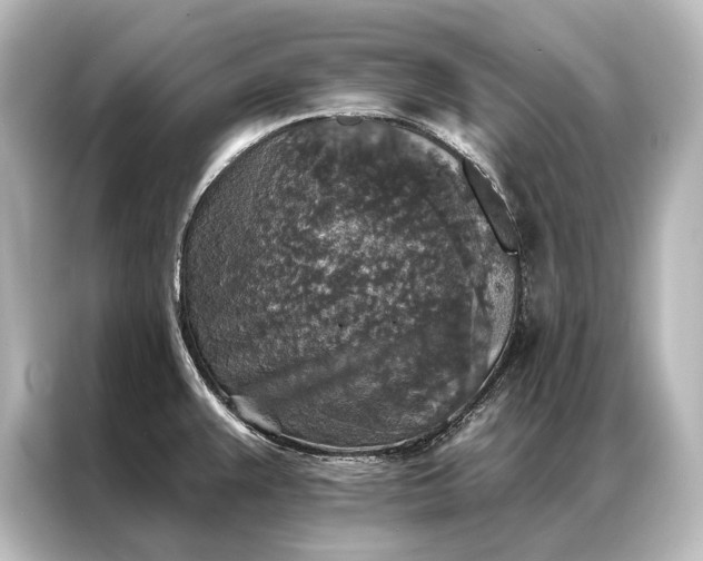 X0000087041383200705021128
