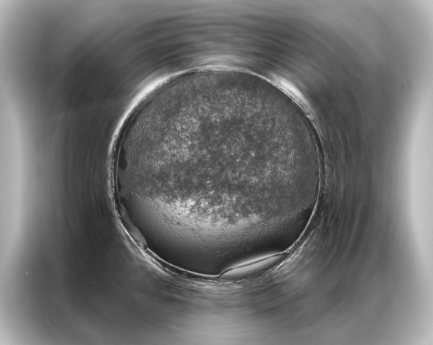 X0000087041384200705021128