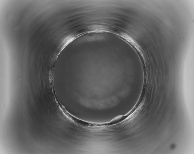 X0000087041385200705021128