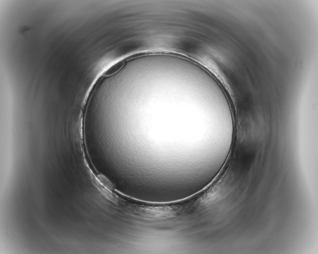 X0000087041388200705021128