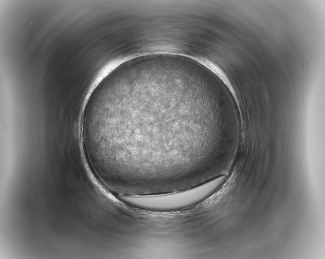 X0000087041389200705021128