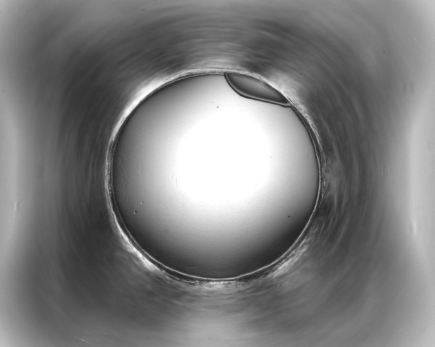 X0000087041390200705021128