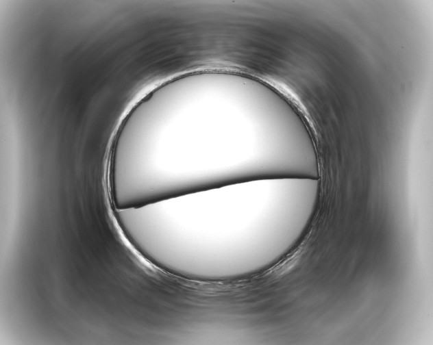 X0000087041391200705021128