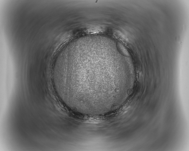 X0000087041393200705021127