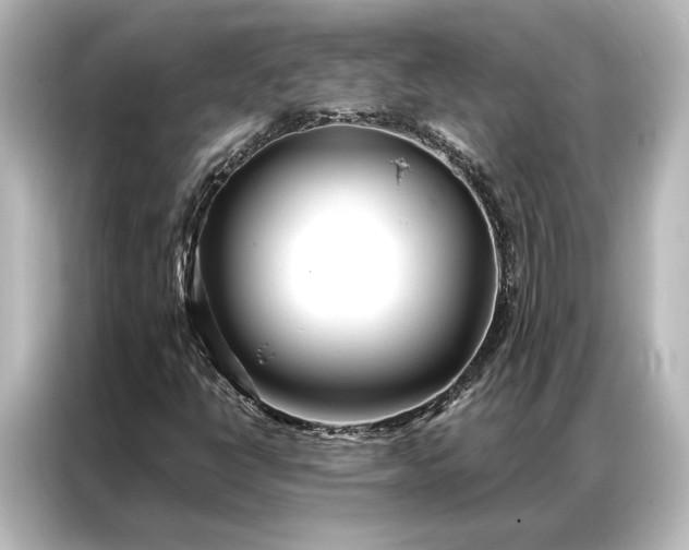 X0000087041398200705021127