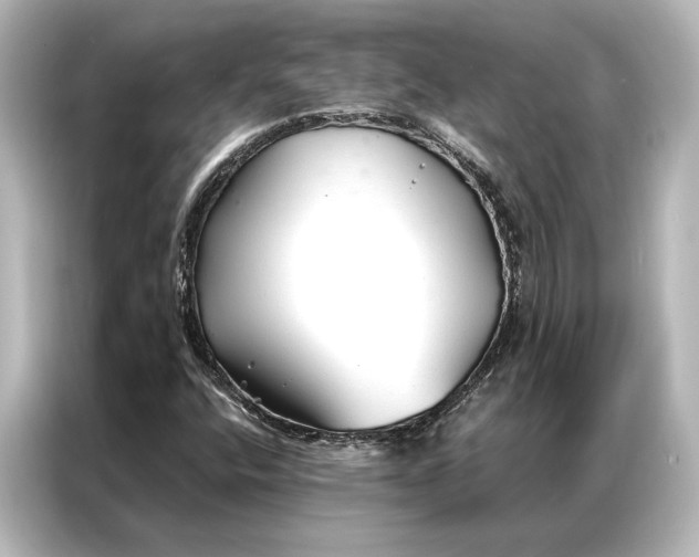 X0000087041400200705021127