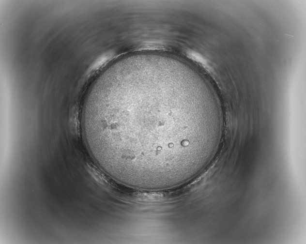 X0000087041403200705021127