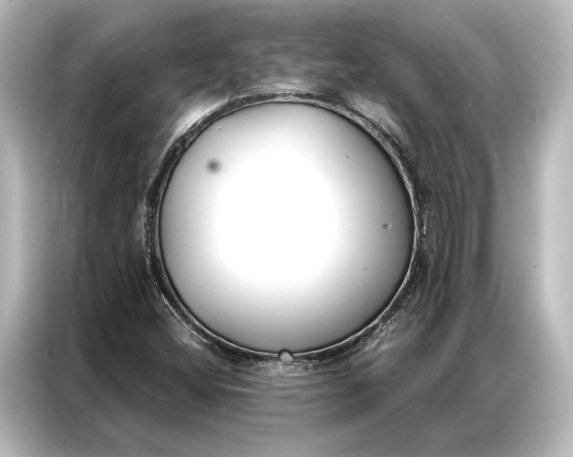 X0000087041404200705021127