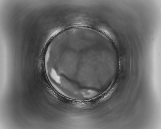 X0000087041405200705021127