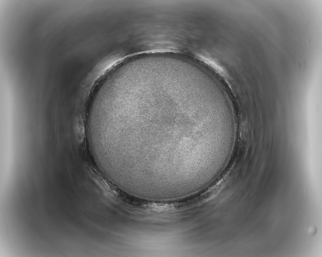 X0000087041407200705021127