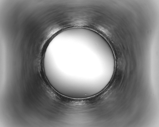 X0000087041410200705021127