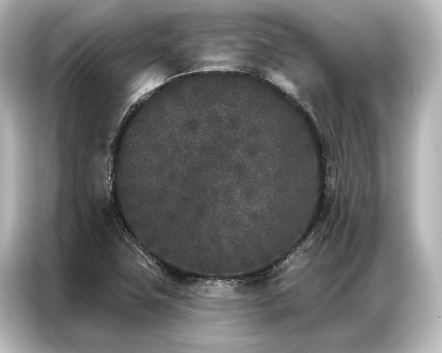 X0000087041411200705021127