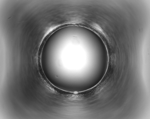 X0000087041412200705021127