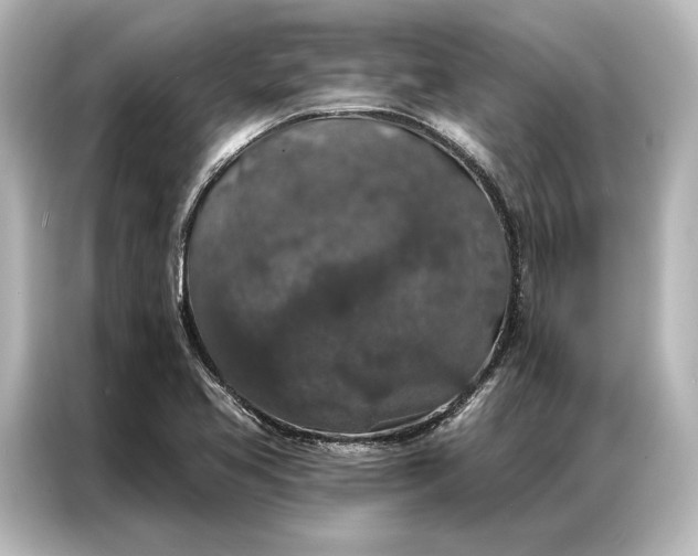 X0000087041413200705021127