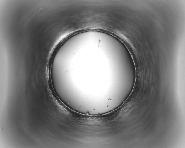 X0000087041416200705021127