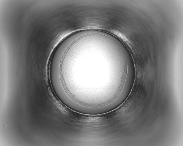 X0000087041423200705021127