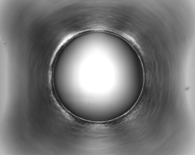 X0000087041424200705021127