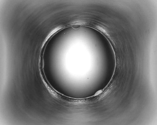 X0000087041426200705021127