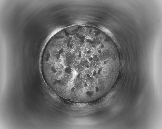 X0000087041427200705021128
