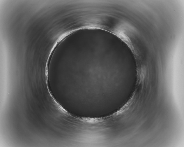 X0000087041428200705021128