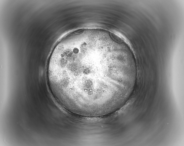 X0000087041429200705021128