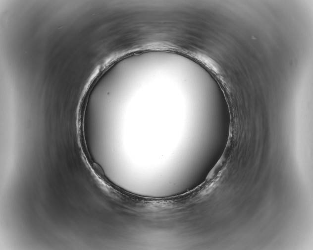 X0000087041430200705021128