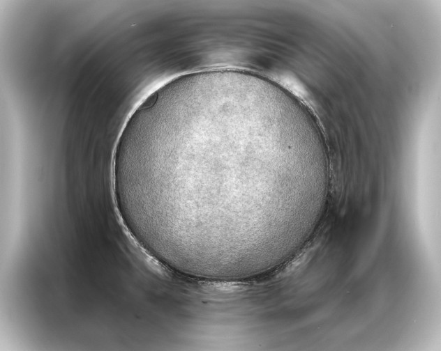 X0000087041431200705021128