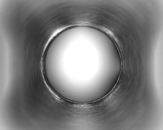 X0000087041432200705021128