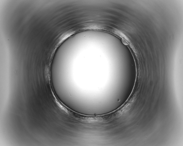 X0000087041433200705021128