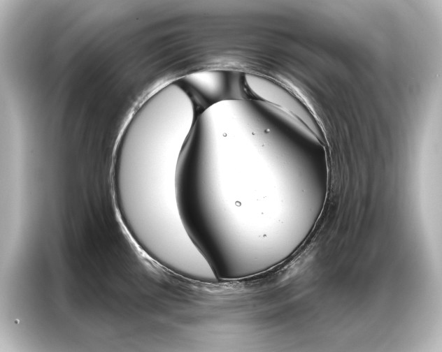 X0000087041434200705021128