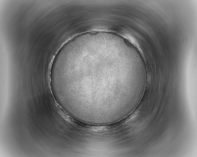 X0000087041435200705021128