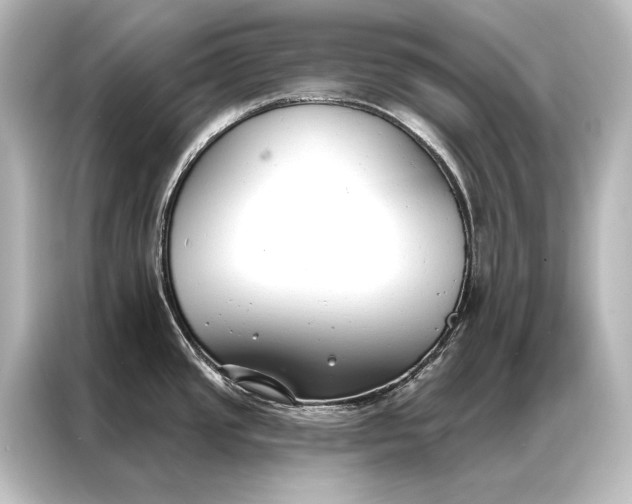 X0000087041437200705021128