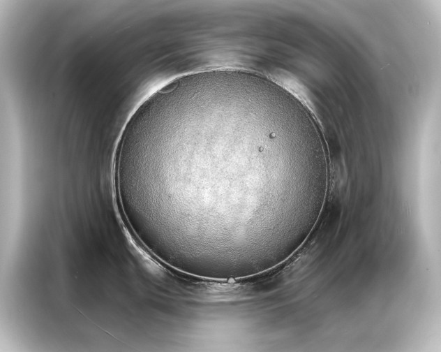 X0000087041439200705021128