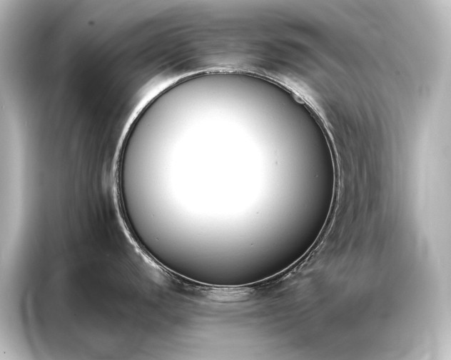 X0000087041440200705021128