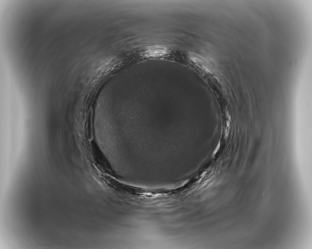 X0000087041441200705021127