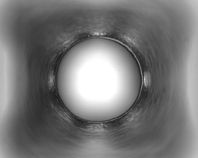 X0000087041444200705021127